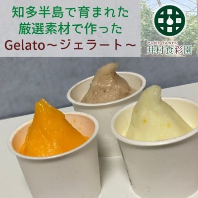 【芳醇な果実の味わい】いちじくと季節のフルーツのジェラート　６個入