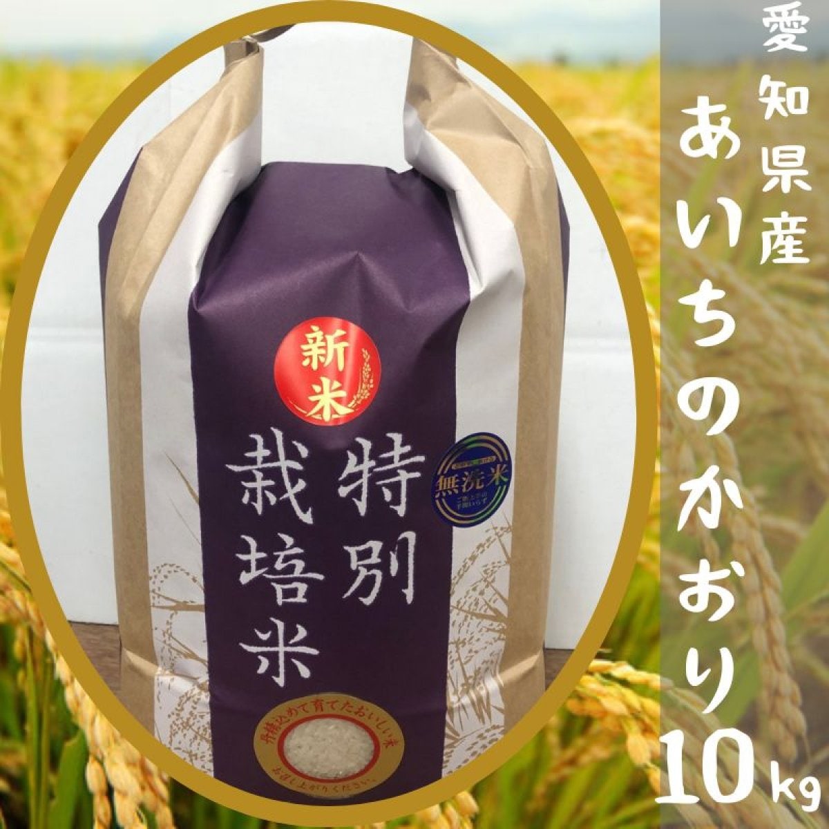 愛知県産 あいちのかおり  10kg 【高ポイント還元でお届け！】
