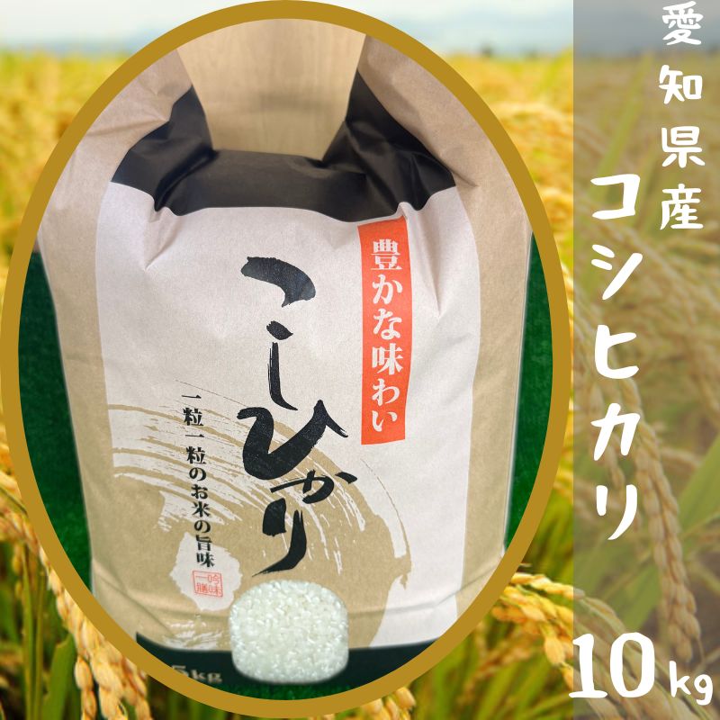 愛知県産 コシヒカリ 10kg【高ポイント還元でお届け！】