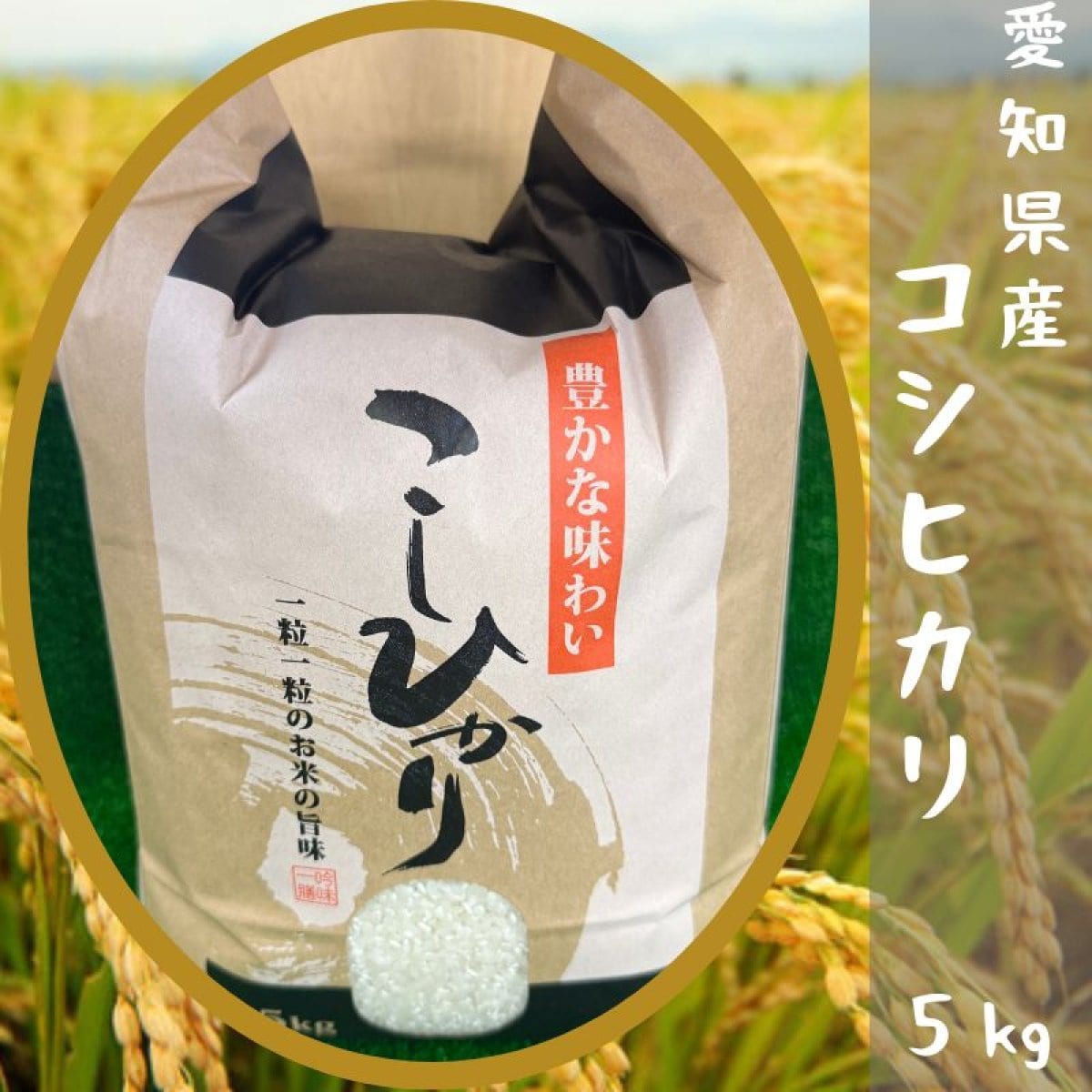 愛知県産 コシヒカリ 5kg