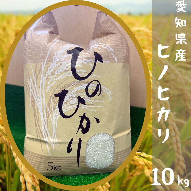 専用ページ　ヒノヒカリ10kg 愛知県産 ヒノヒカリ 10kg 【高ポイント還元でお届け！】