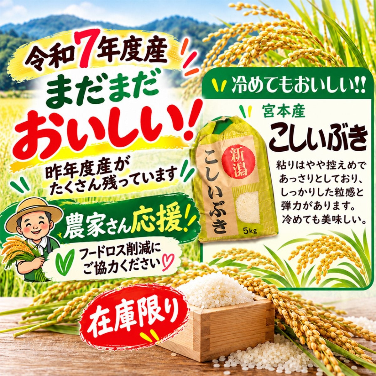 まだまだ美味しい!!令和7年産 新潟県長岡産こしいぶき白米5kg