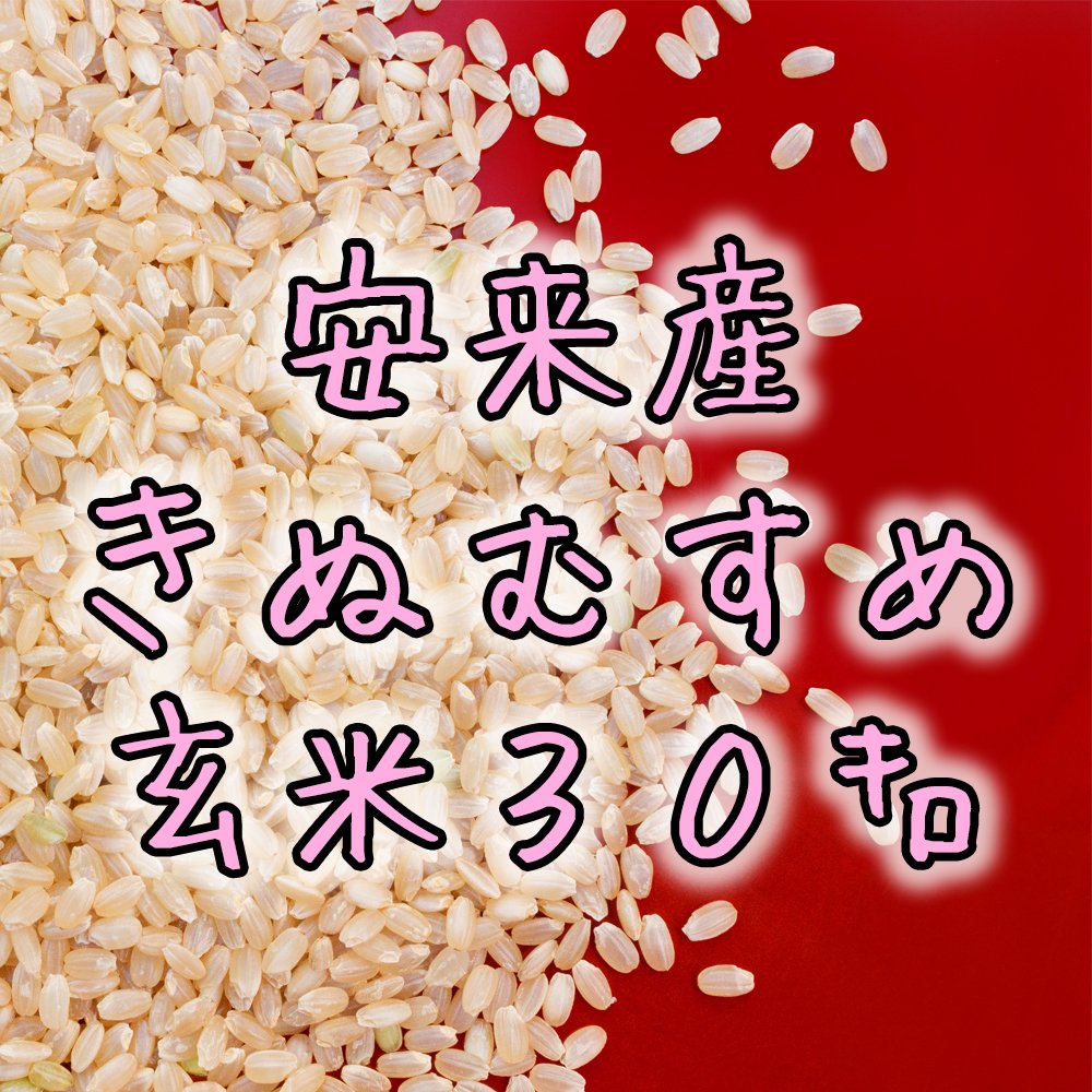 玄米30kg 安来産きぬむすめ 2024年度秋収穫分