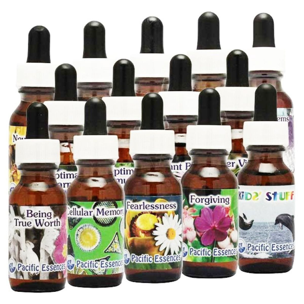 【アーカイブ版】パシフィックエッセンスを知ろう