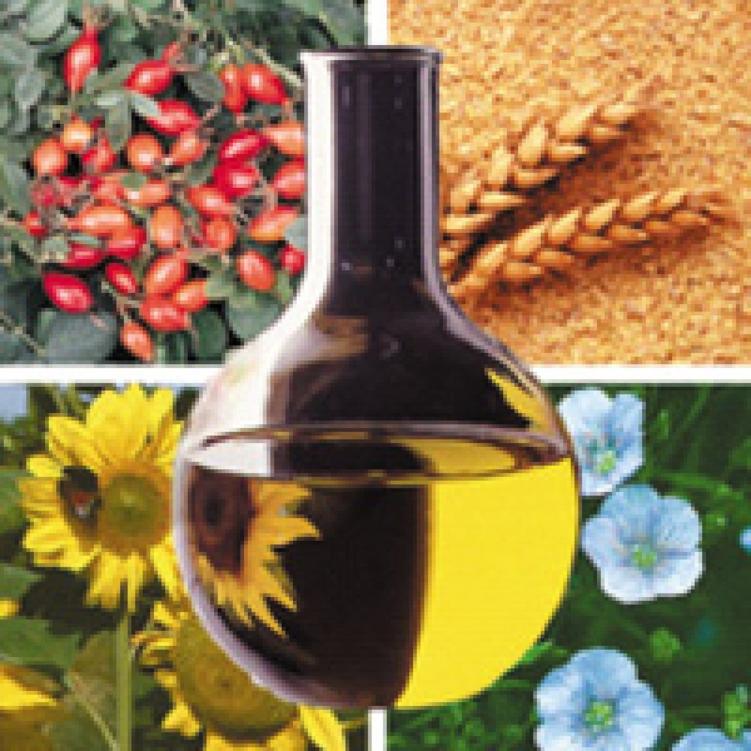 【アーカイブ視聴版】スイスの波動・自然療法～ライフレゾナンス活用術～