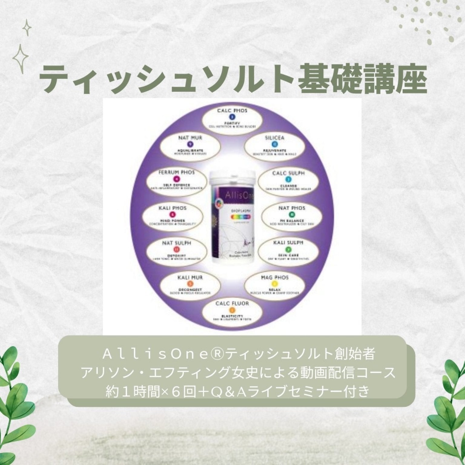 ティッシュソルト基礎講座～アリソン・エフティング女史による動画配信コース～
