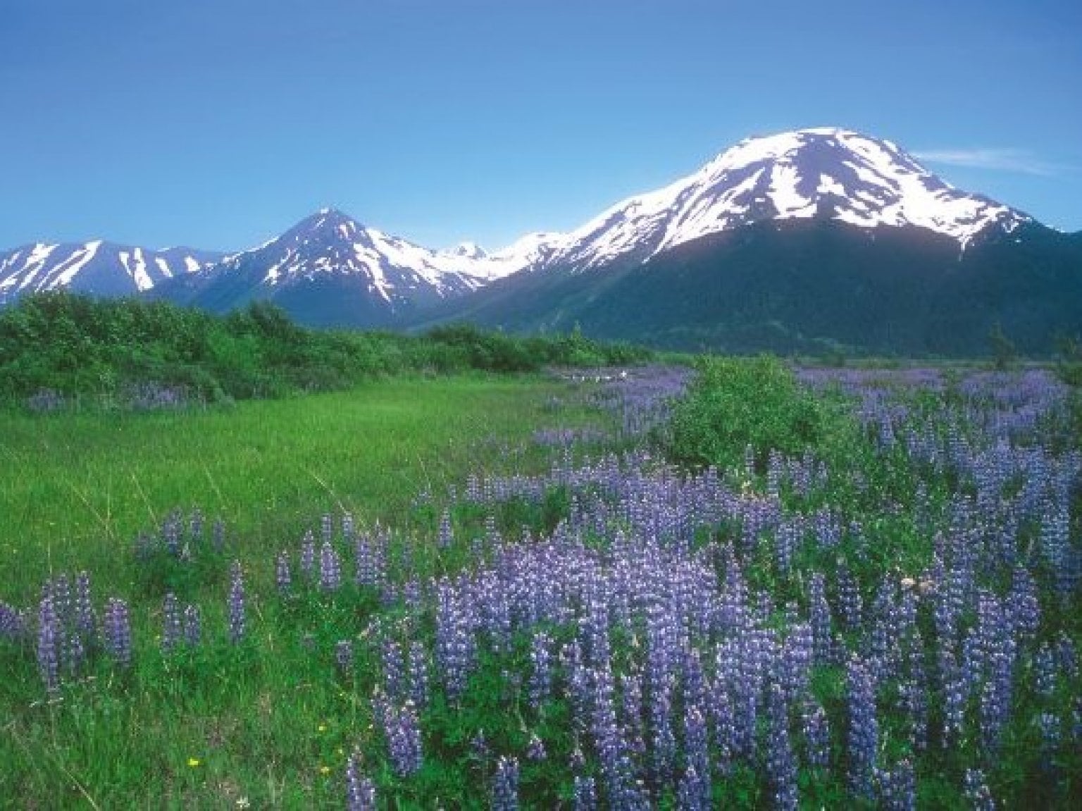 アラスカンエッセンスを知ろう