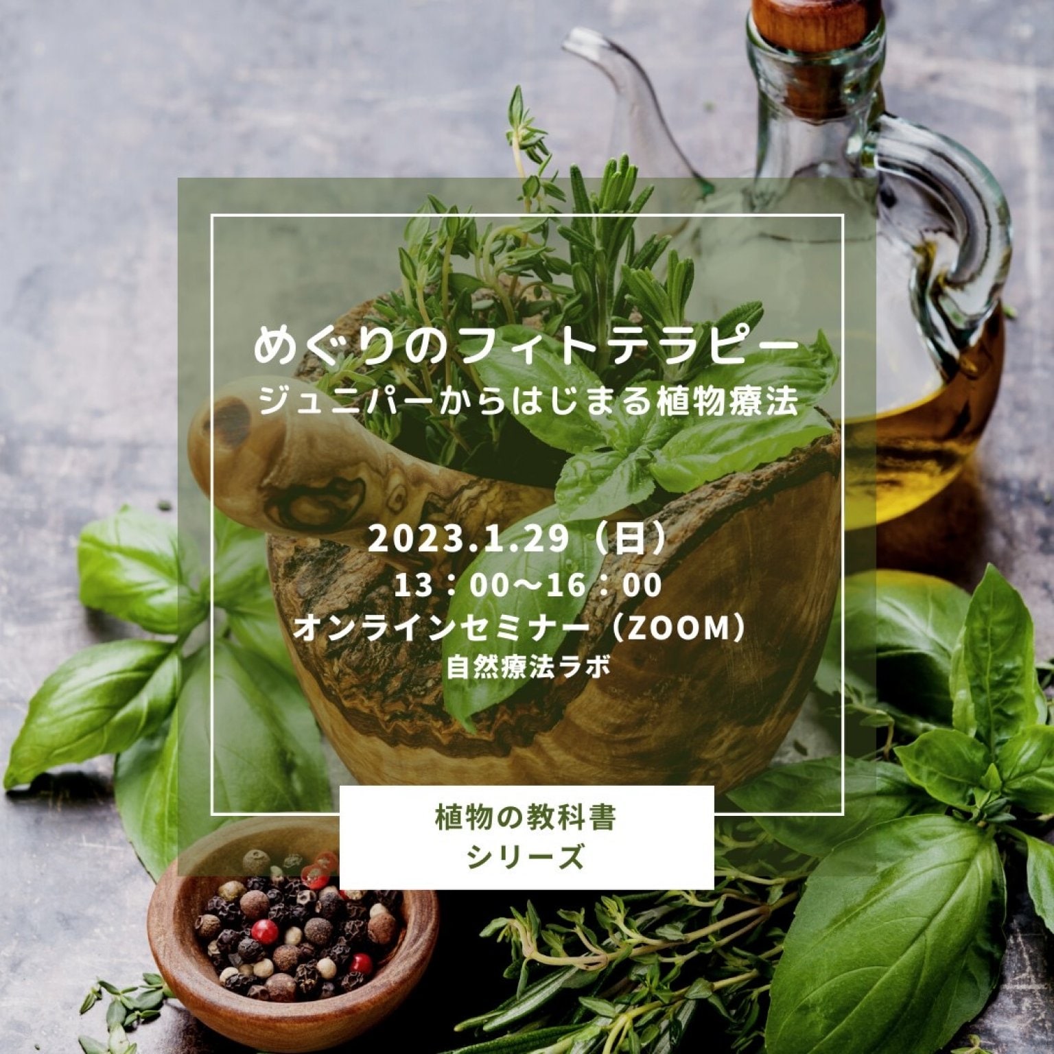 和の植物療法「クロモジ（黒文字）」を知ろう　他｜和田文緖先生×中村裕恵コラボシリーズ