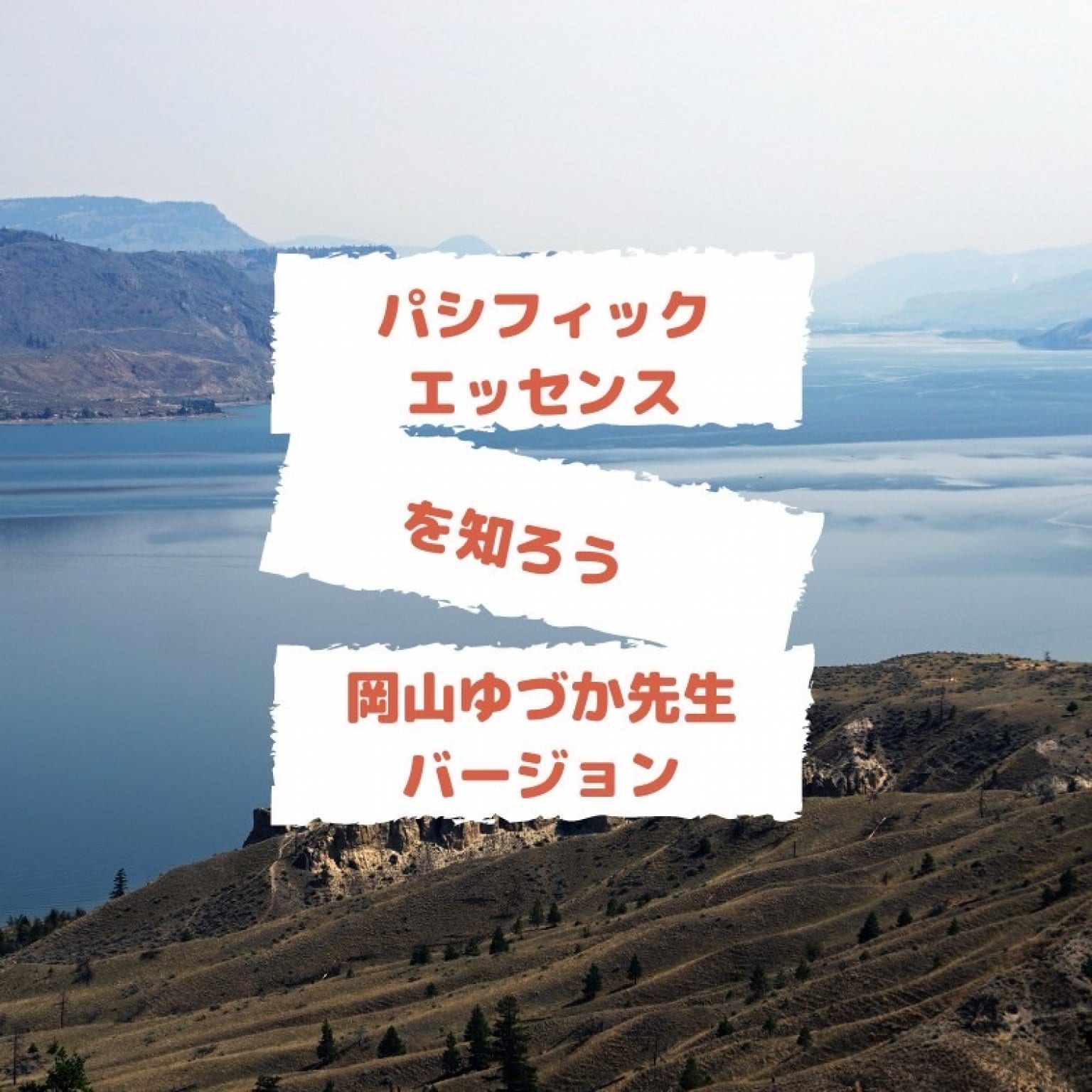 【アーカイブ版】パシフィックエッセンスを知ろう