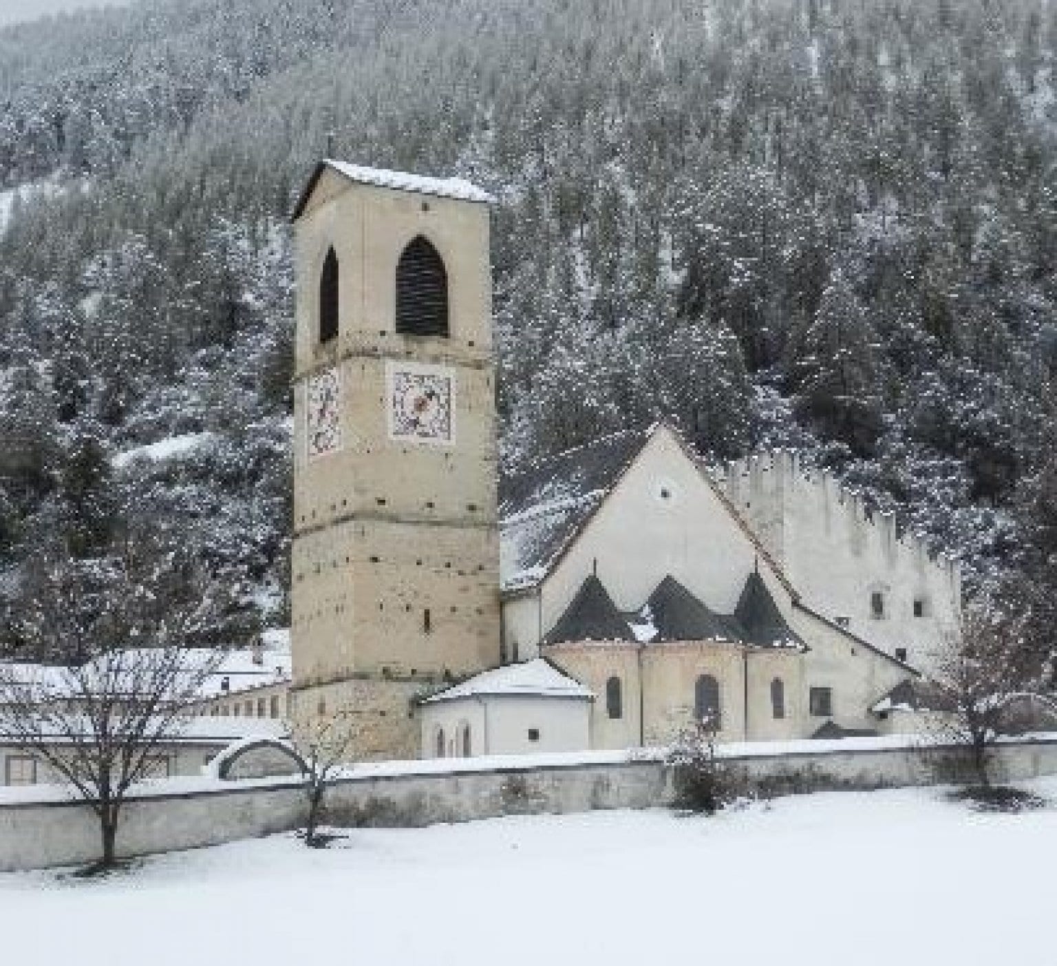 【後日視聴版】西欧中世の修道院とその関連する植物療法（全３回）
