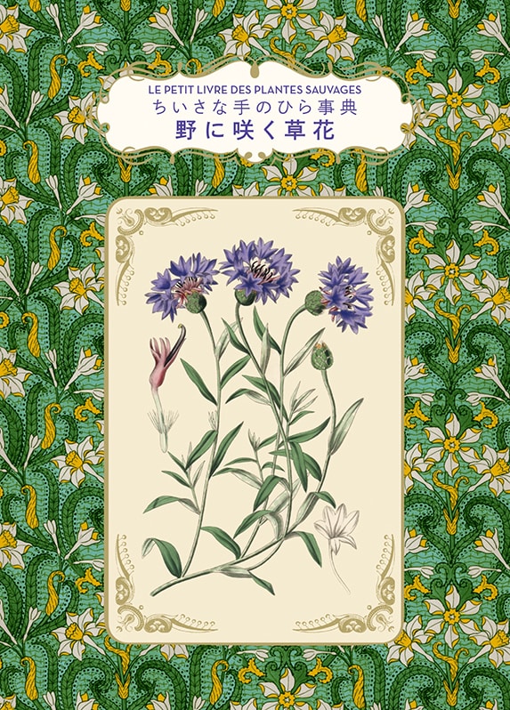 書籍】ちいさな手のひら事典 野に咲く草花
