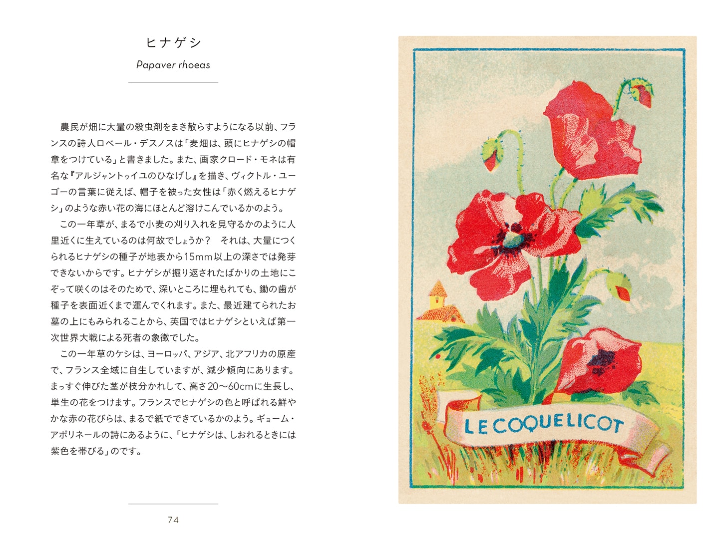 書籍】ちいさな手のひら事典 野に咲く草花