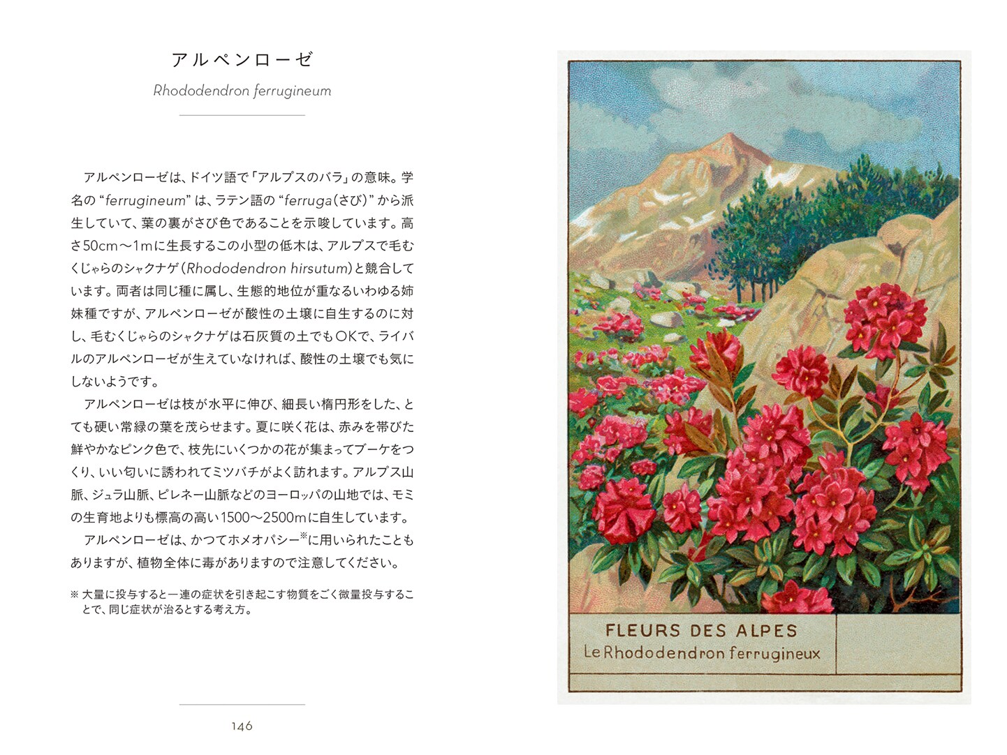 書籍】ちいさな手のひら事典 野に咲く草花