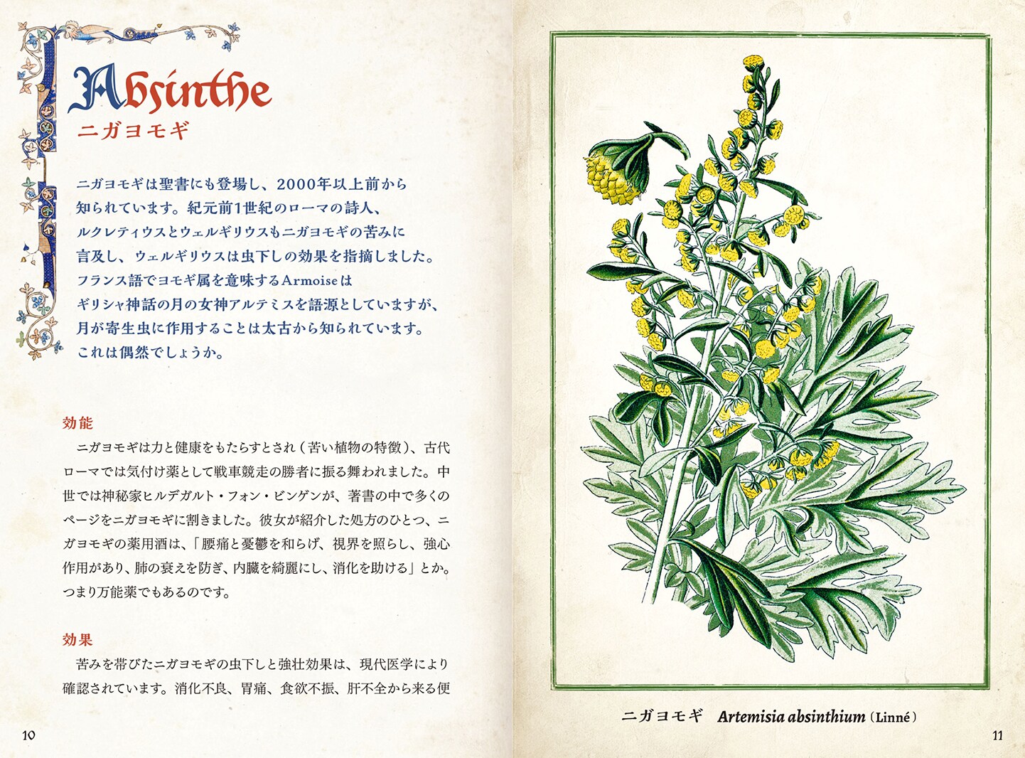 書籍】ひみつの本棚シリーズ 中世の庭の薬草事典