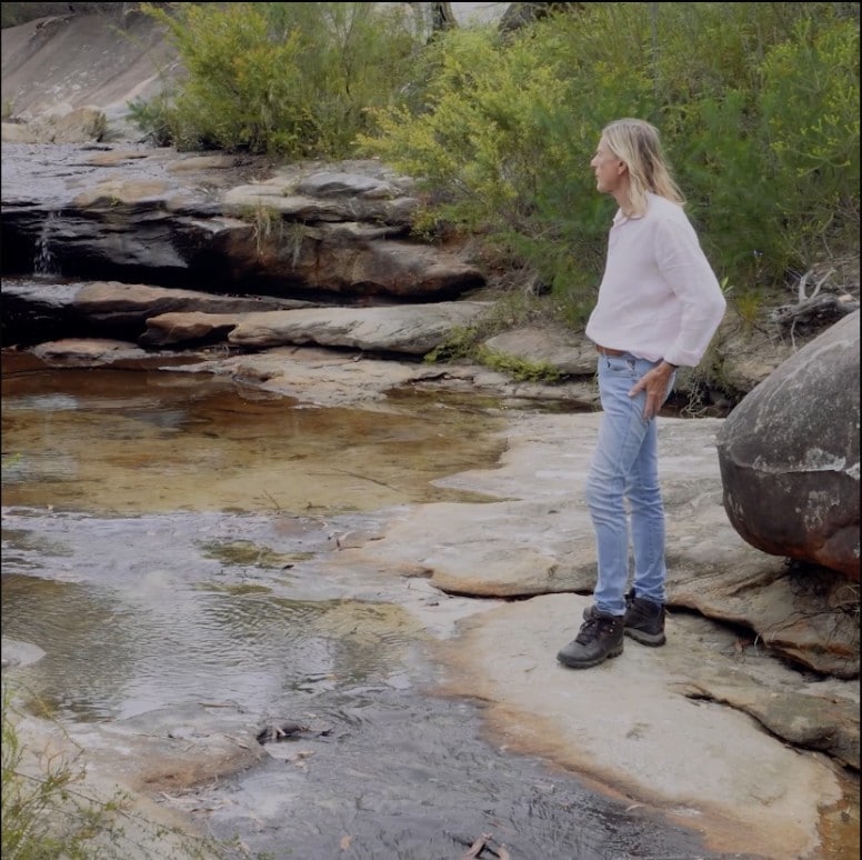 2026Essence|オーストラリアンブッシュフラワーエッセンス