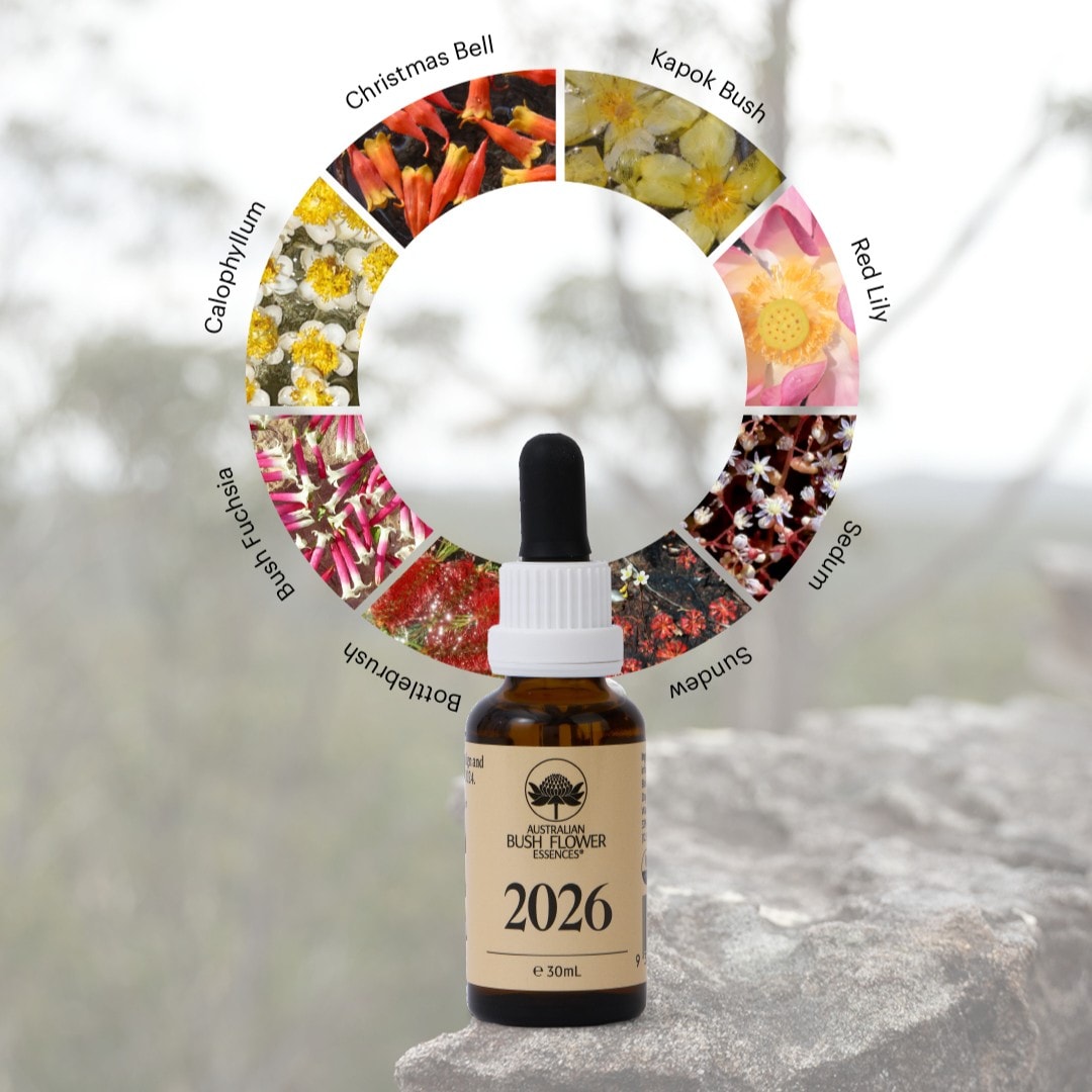 2026Essence|オーストラリアンブッシュフラワーエッセンス