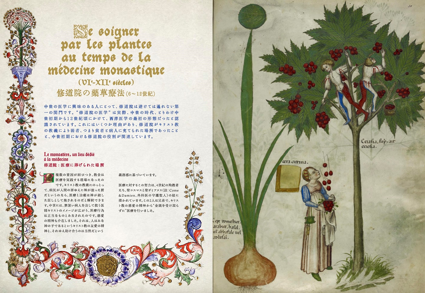 書籍】新装版 ひみつの薬箱 中世装飾写本で巡る薬草の旅