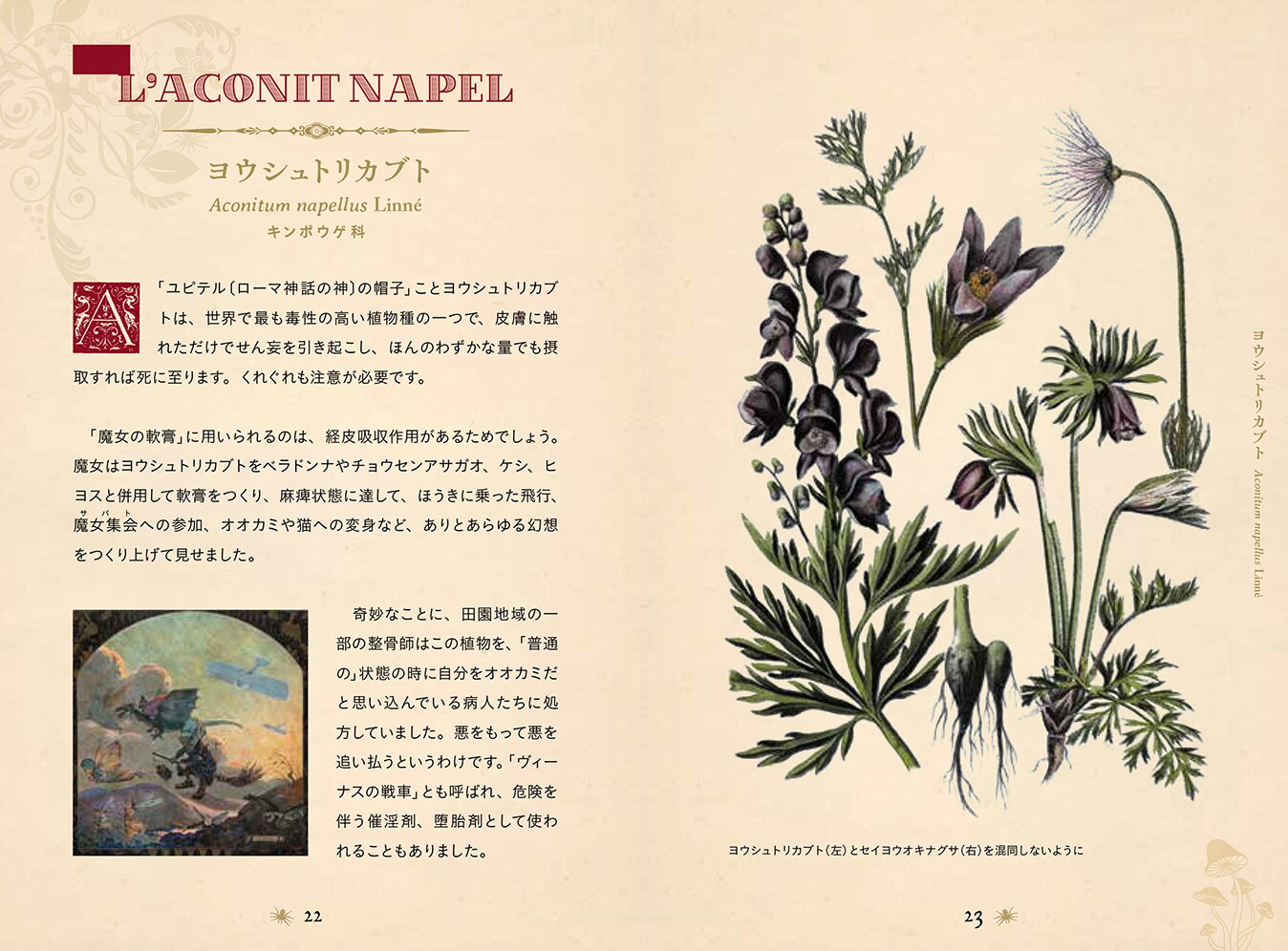 書籍】ひみつの本棚シリーズ 禁断の毒草事典