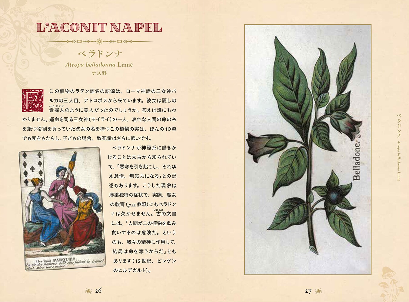 書籍】ひみつの本棚シリーズ 禁断の毒草事典