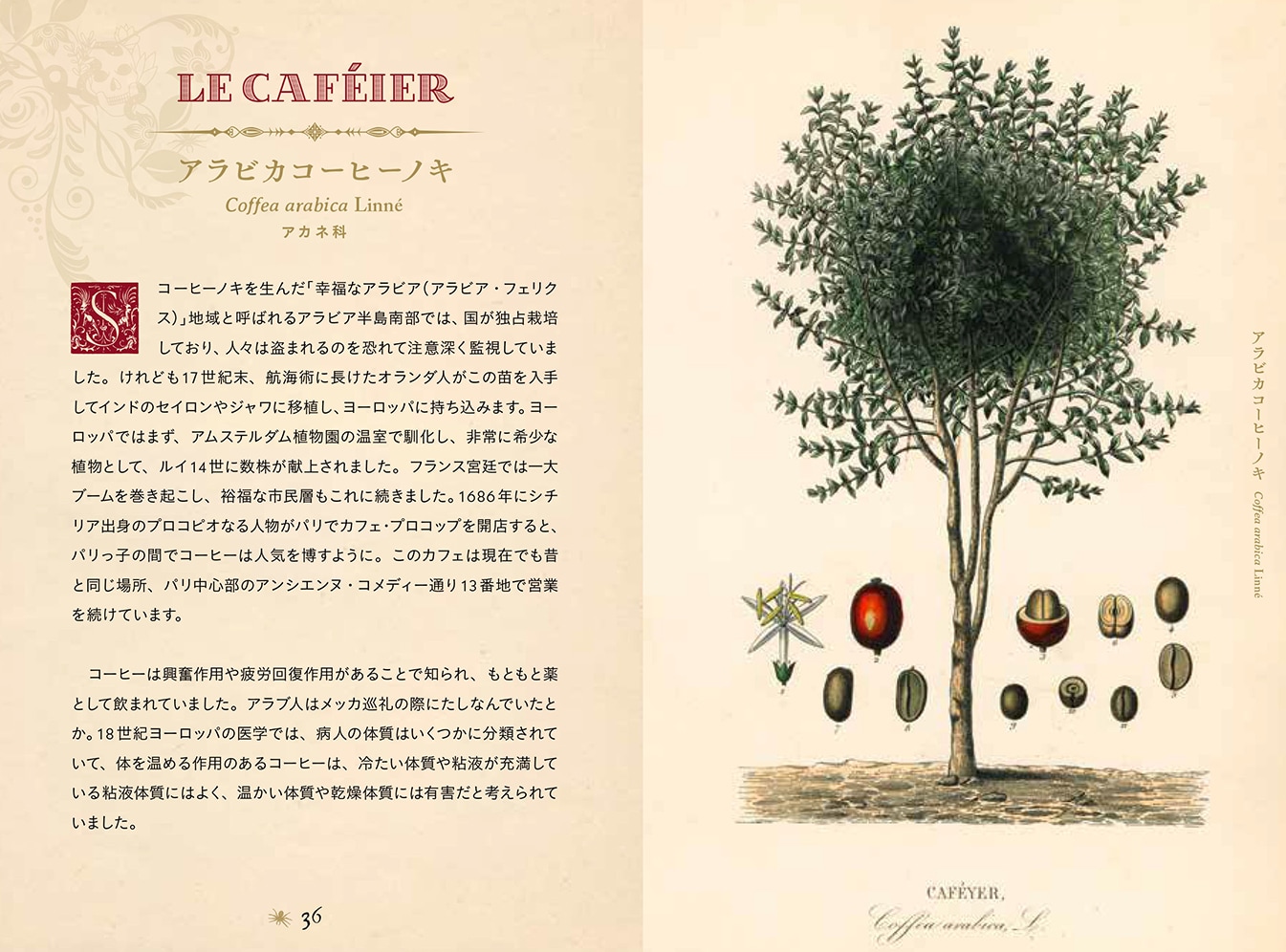 書籍】ひみつの本棚シリーズ 禁断の毒草事典