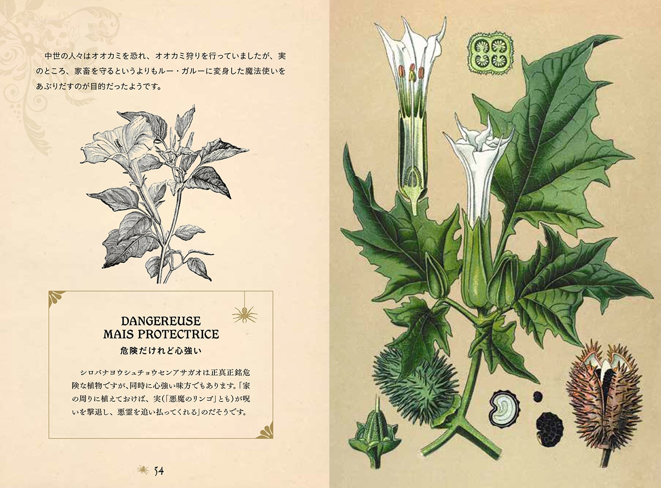 書籍】ひみつの本棚シリーズ 禁断の毒草事典