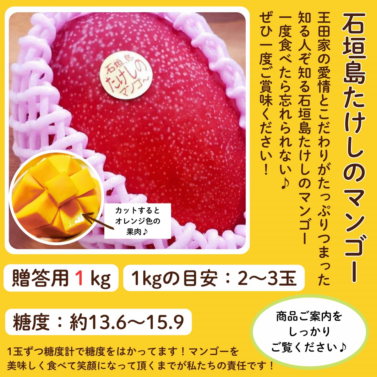 ＜贈答用＞1㎏(2〜3玉)石垣島たけしのマンゴー【冷蔵発送】  ※支払い方法は商品概要をよくご覧ください