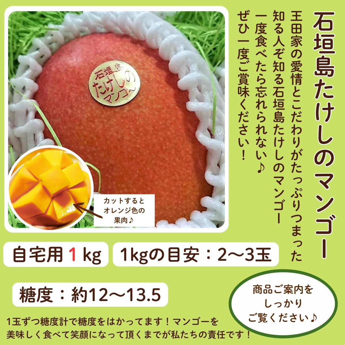 ＜自宅用＞1㎏（2〜3玉）石垣島たけしのマンゴー  ※支払い方法は商品概要をよくご覧ください