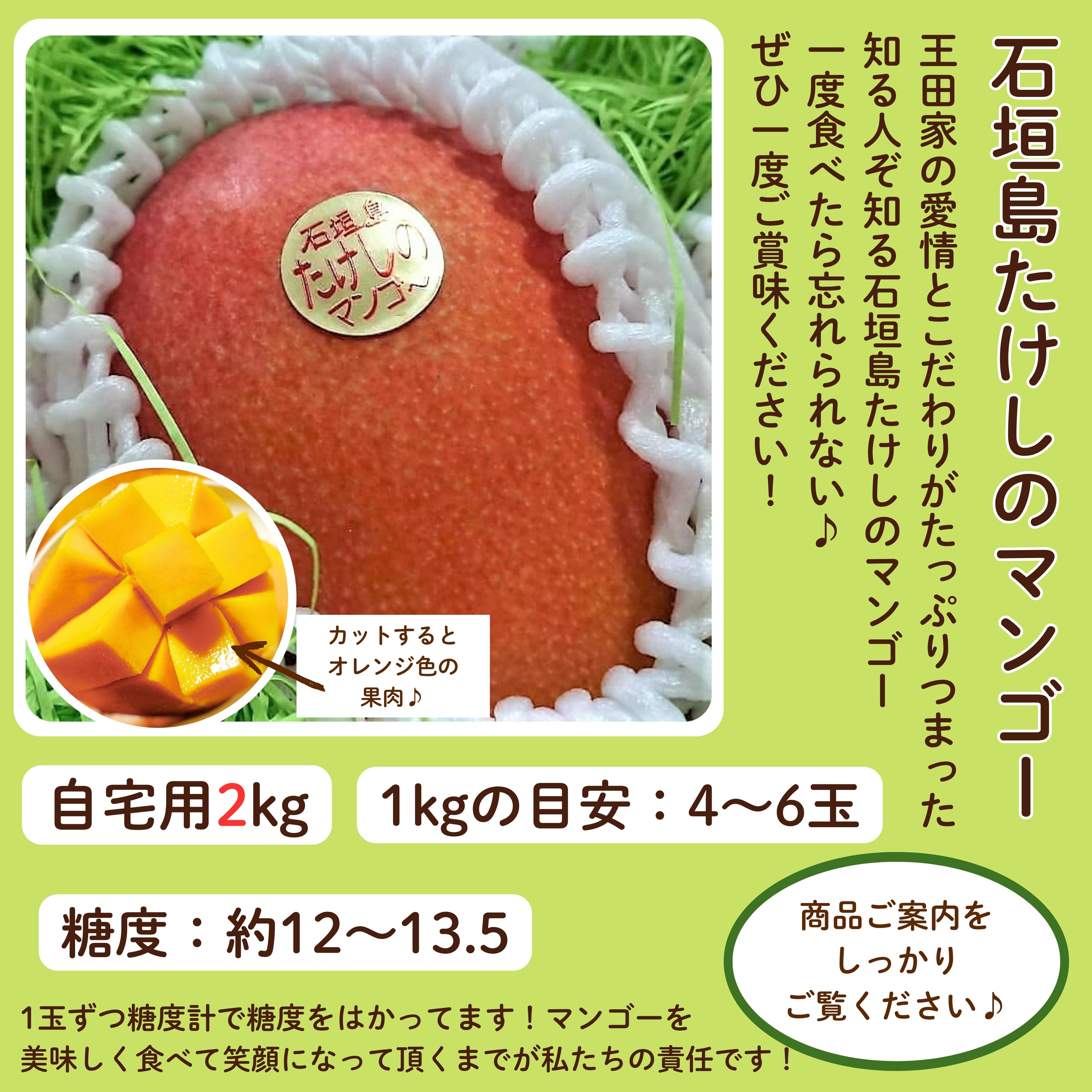 【谷平さま専用】摘果マンゴー 20kg 176509_ext_10_0.jpg