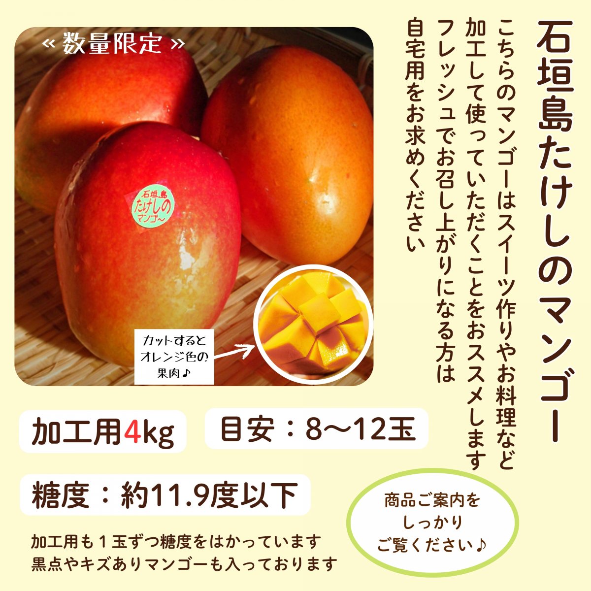 ＜加工用＞4㎏(8〜12玉)石垣島たけしのマンゴー  ※支払い方法は商品概要をよくご覧ください