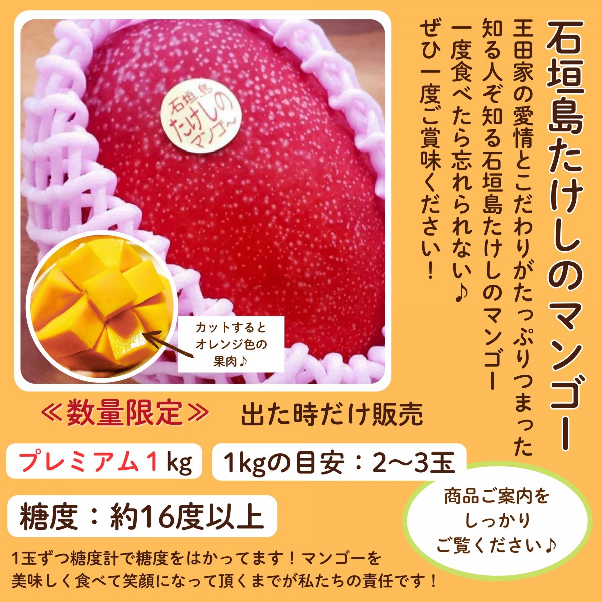 ＜プレミアム＞1㎏(2〜3玉)石垣島たけしのマンゴー【冷蔵発送】  ※支払い方法は商品概要をよくご覧ください