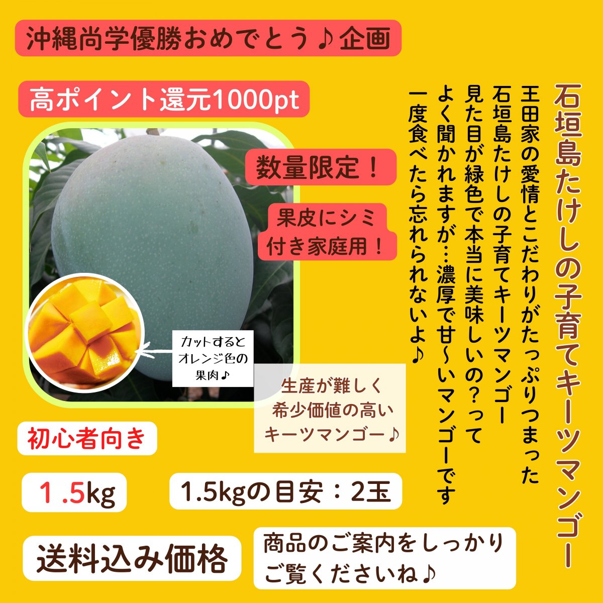 沖縄尚学おめでとう！高ポイント還元！数量限定！初心者おススメ！1.5㎏(2〜3玉)/石垣島たけしの子育てキーツマンゴー／※支払い方法は商品概要をよくご覧ください