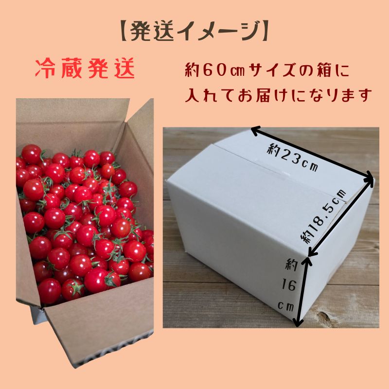 産地直送】石垣島たけし印の味恋完熟ミニトマト2kg｜農家直送｜冷蔵