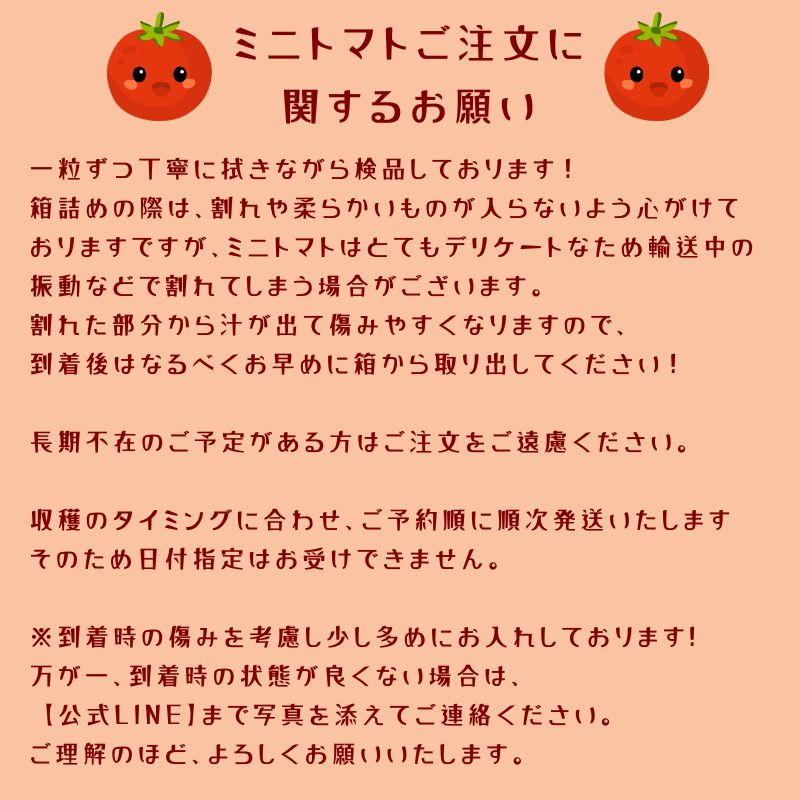 産地直送】石垣島たけし印の味恋完熟ミニトマト2kg｜農家直送｜冷蔵