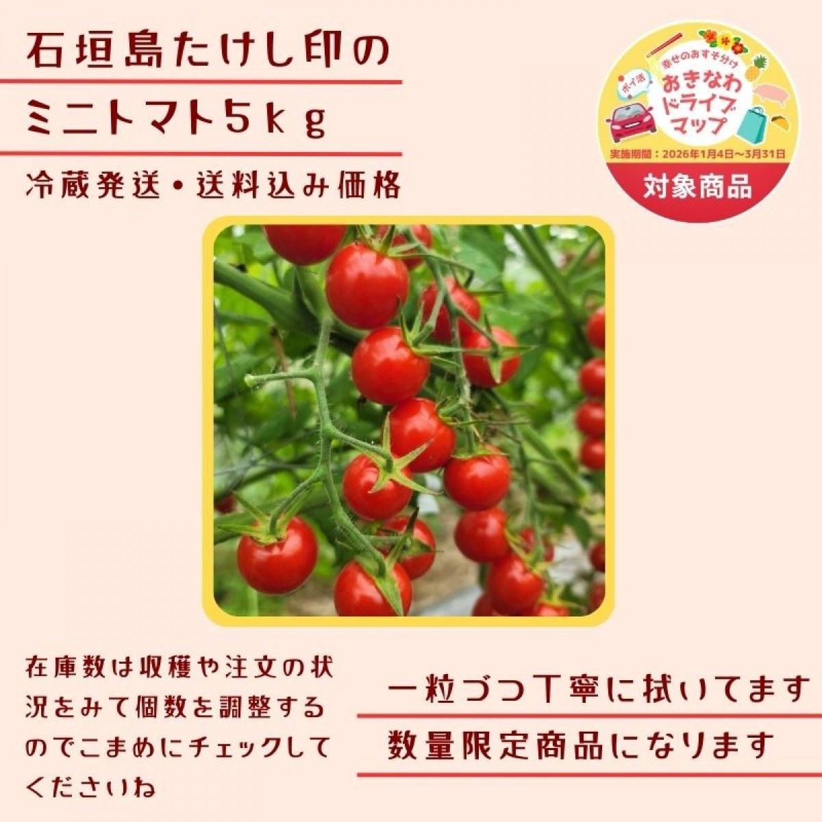 【産地直送】石垣島たけし印の味恋完熟ミニトマト5kg｜農家直送｜冷蔵発送【おきなわドライブMAP対象商品】