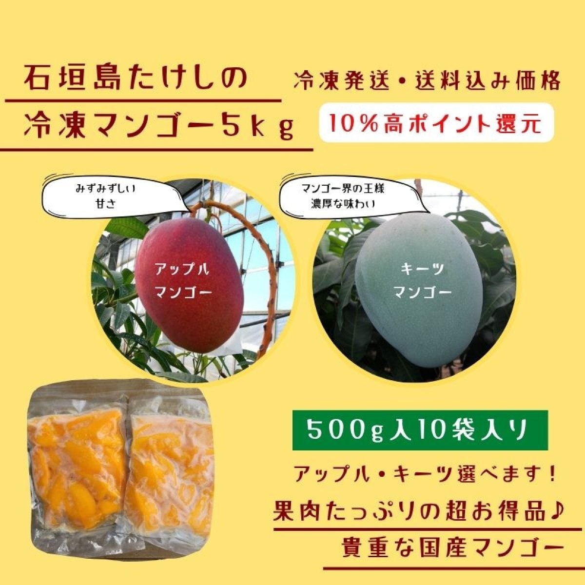 ＜冷凍＞石垣島たけしのマンゴー 5kg(500g×10袋)|アップル・キーツ選択可｜10%高ポイント還元