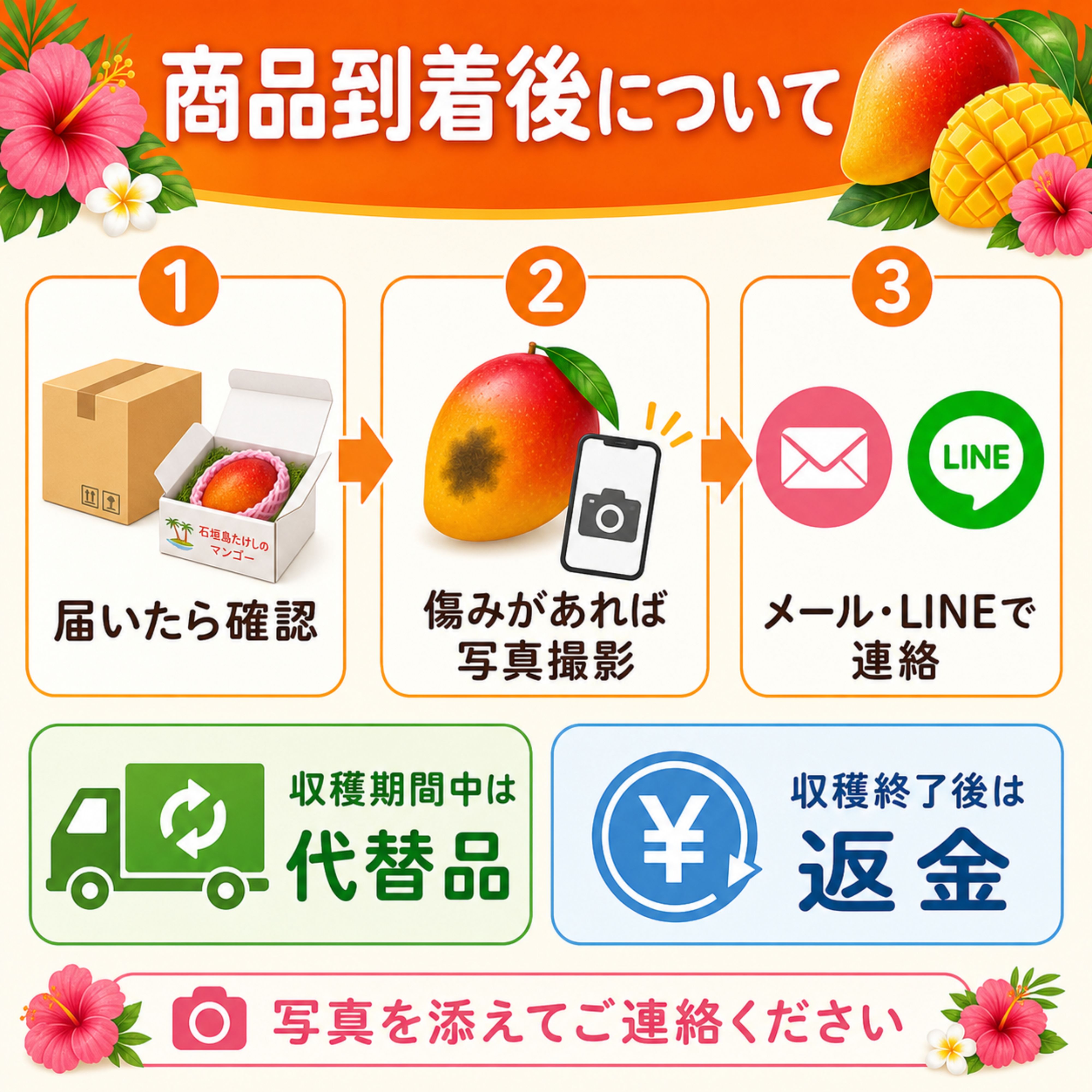 🥭＜贈答用＞1㎏（2〜3玉）石垣島たけしのマンゴー【冷蔵発送】※お