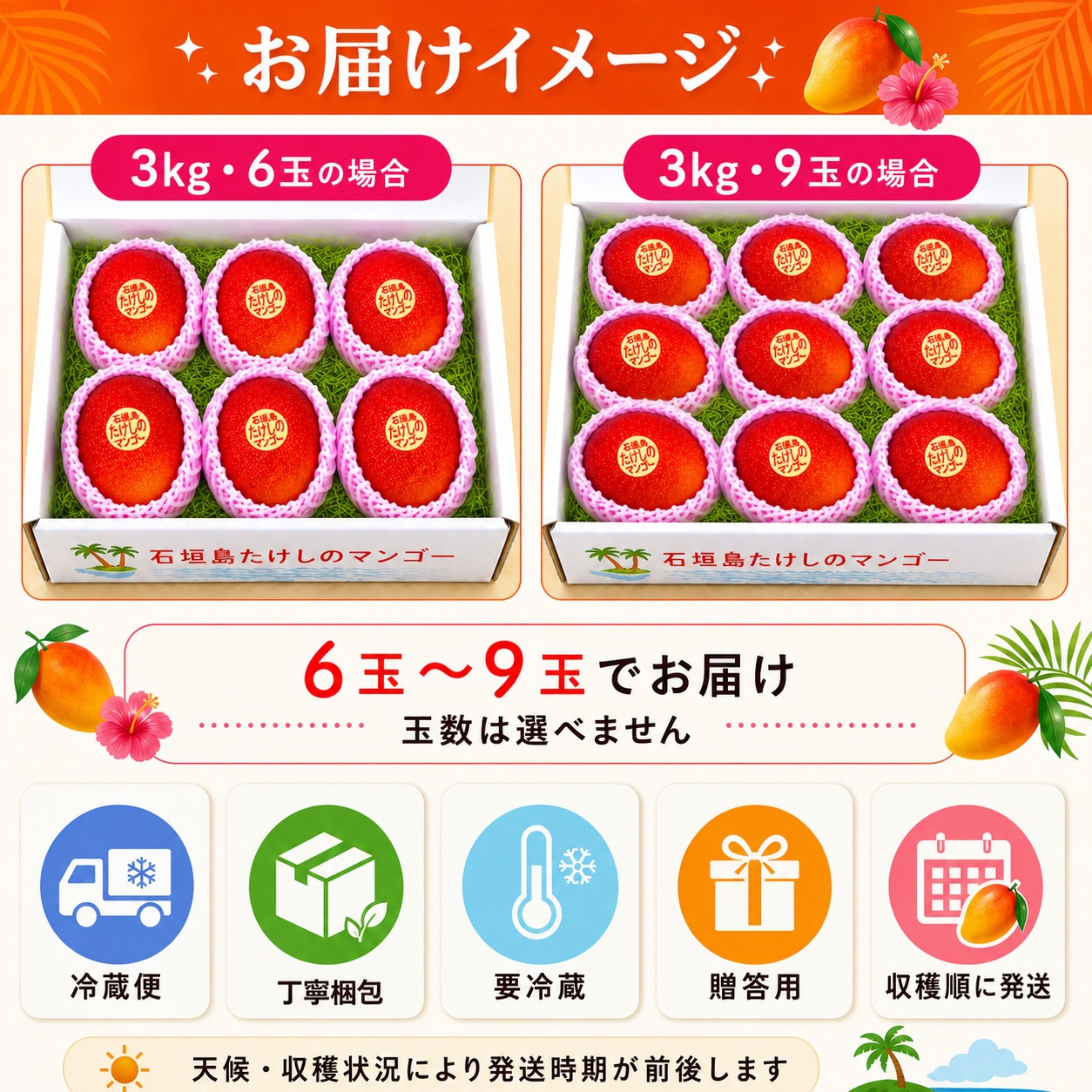 台風セール🥭＜贈答用＞3㎏（6〜9玉）石垣島たけしのマンゴー【冷蔵