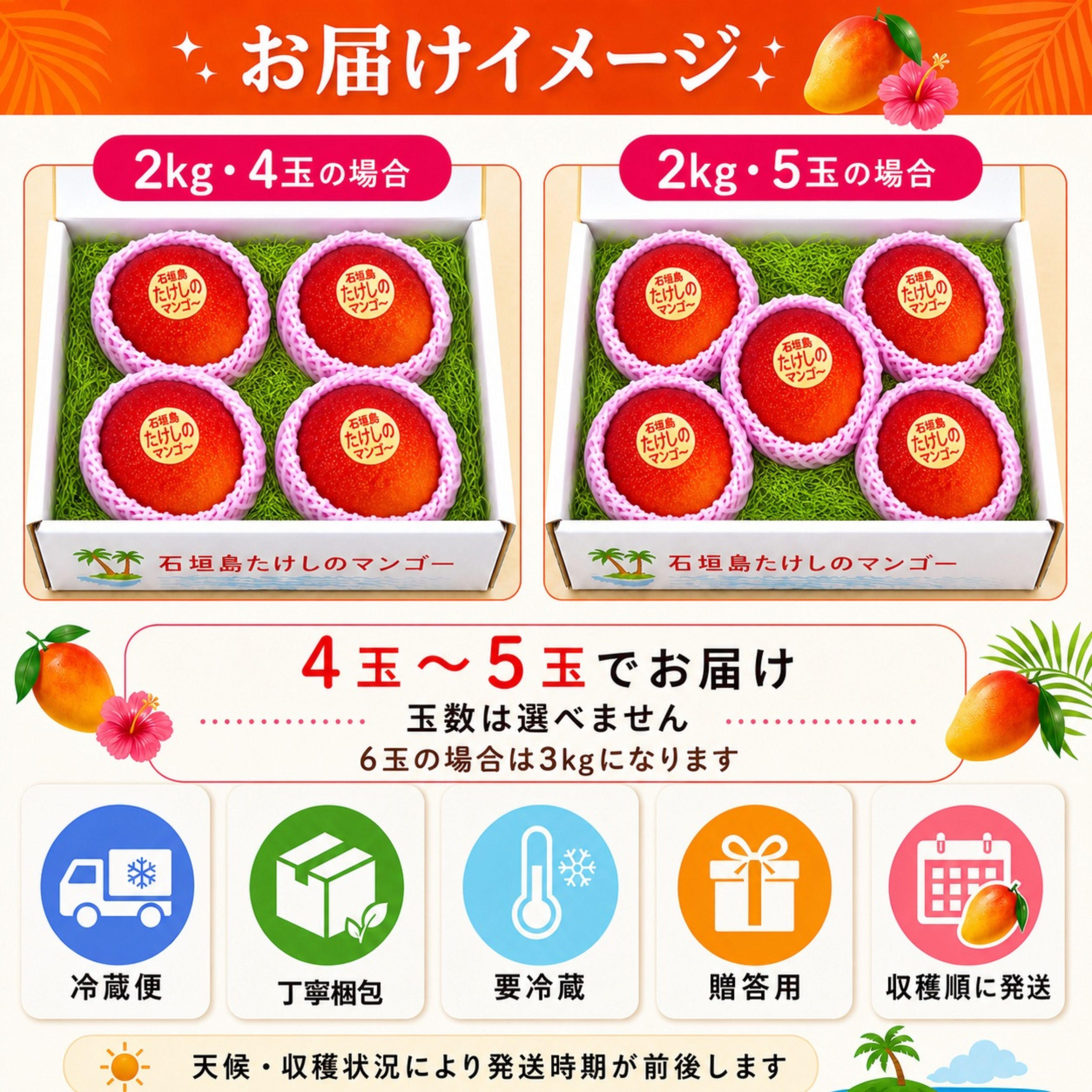 🥭＜贈答用＞2㎏（4〜5玉）石垣島たけしのマンゴー【冷蔵発送】※お