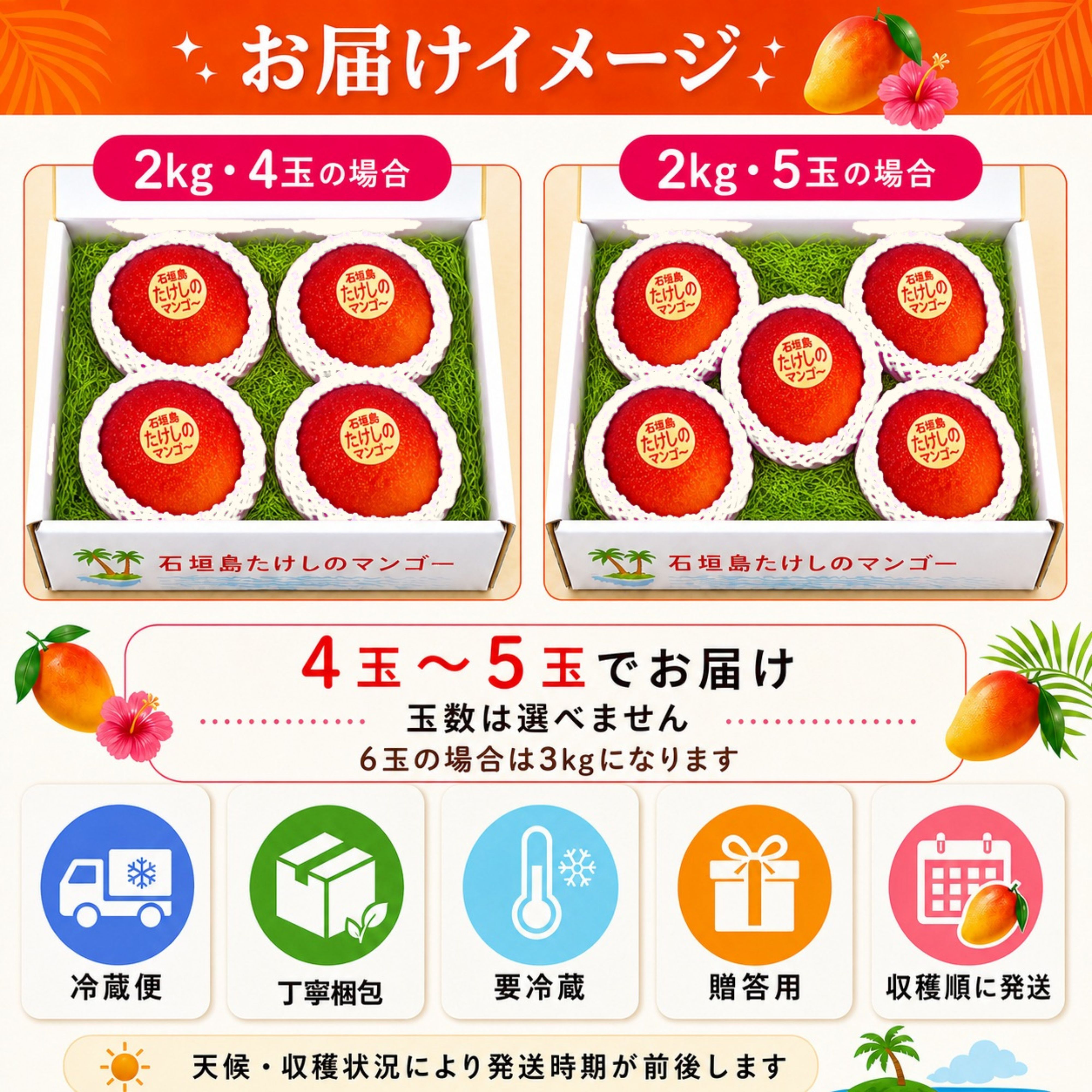 🥭＜自宅用＞2㎏（4〜5玉）石垣島たけしのマンゴー【冷蔵発送】※お