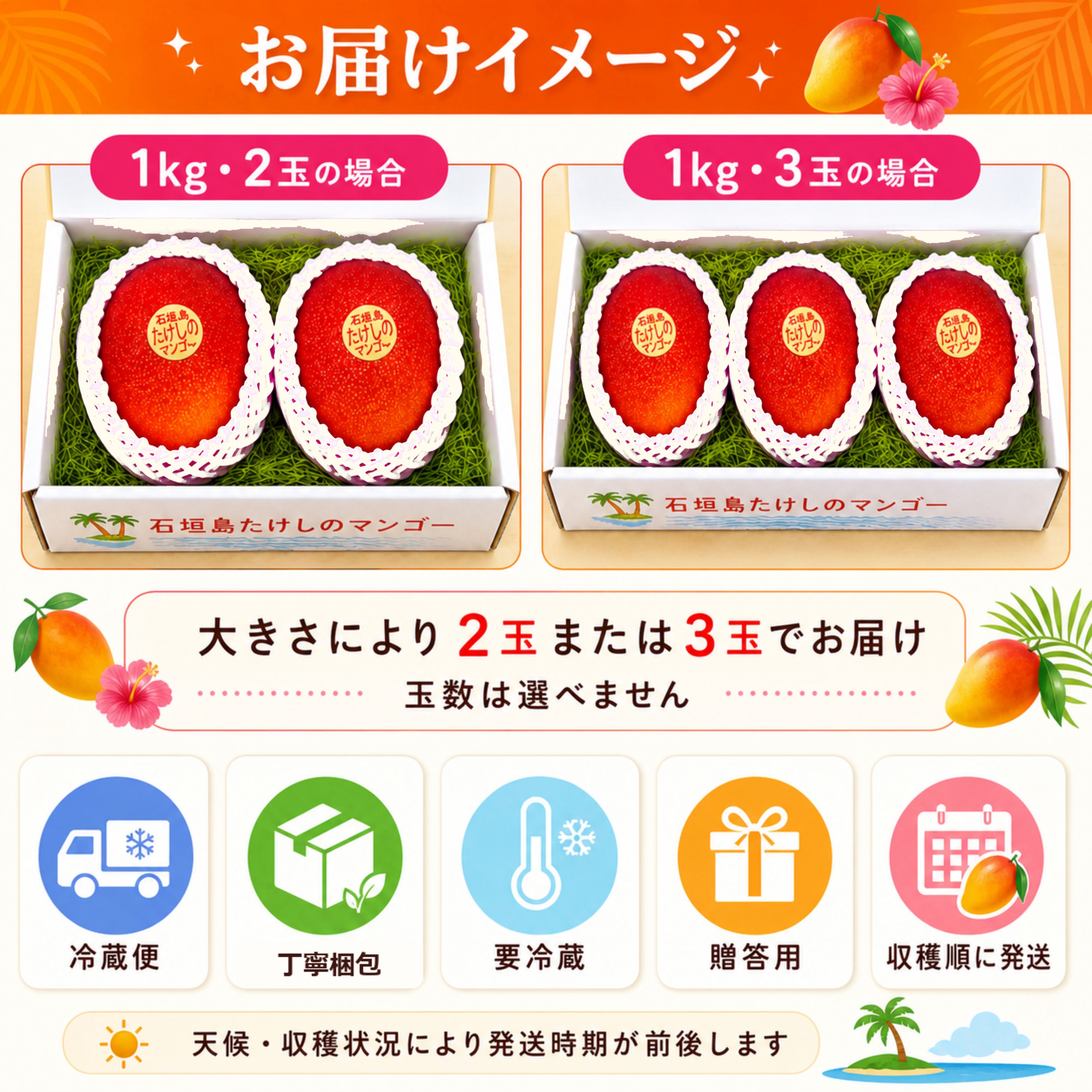 台風セール🥭＜自宅用＞1㎏（2〜3玉）石垣島たけしのマンゴー【冷蔵