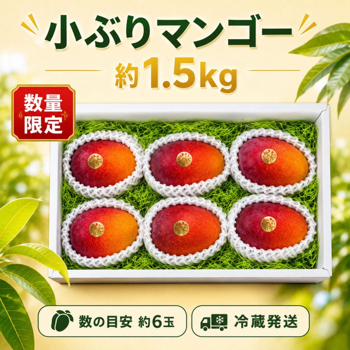 石垣島たけしのマンゴー 最高の笑顔を食卓にお届け♪｜ the mango company