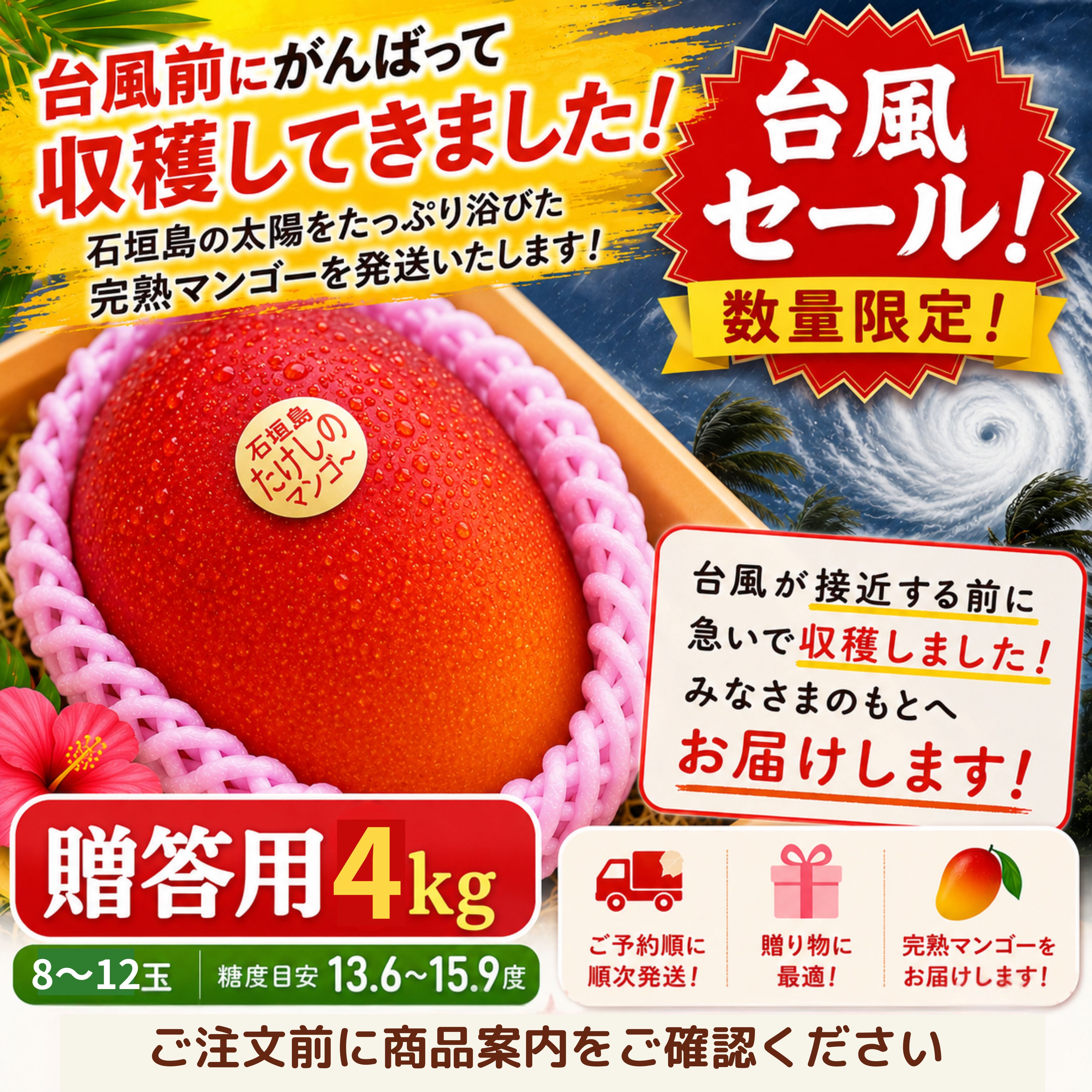 台風セール🥭＜贈答用＞4㎏（8〜12玉）石垣島たけしのマンゴー【冷蔵