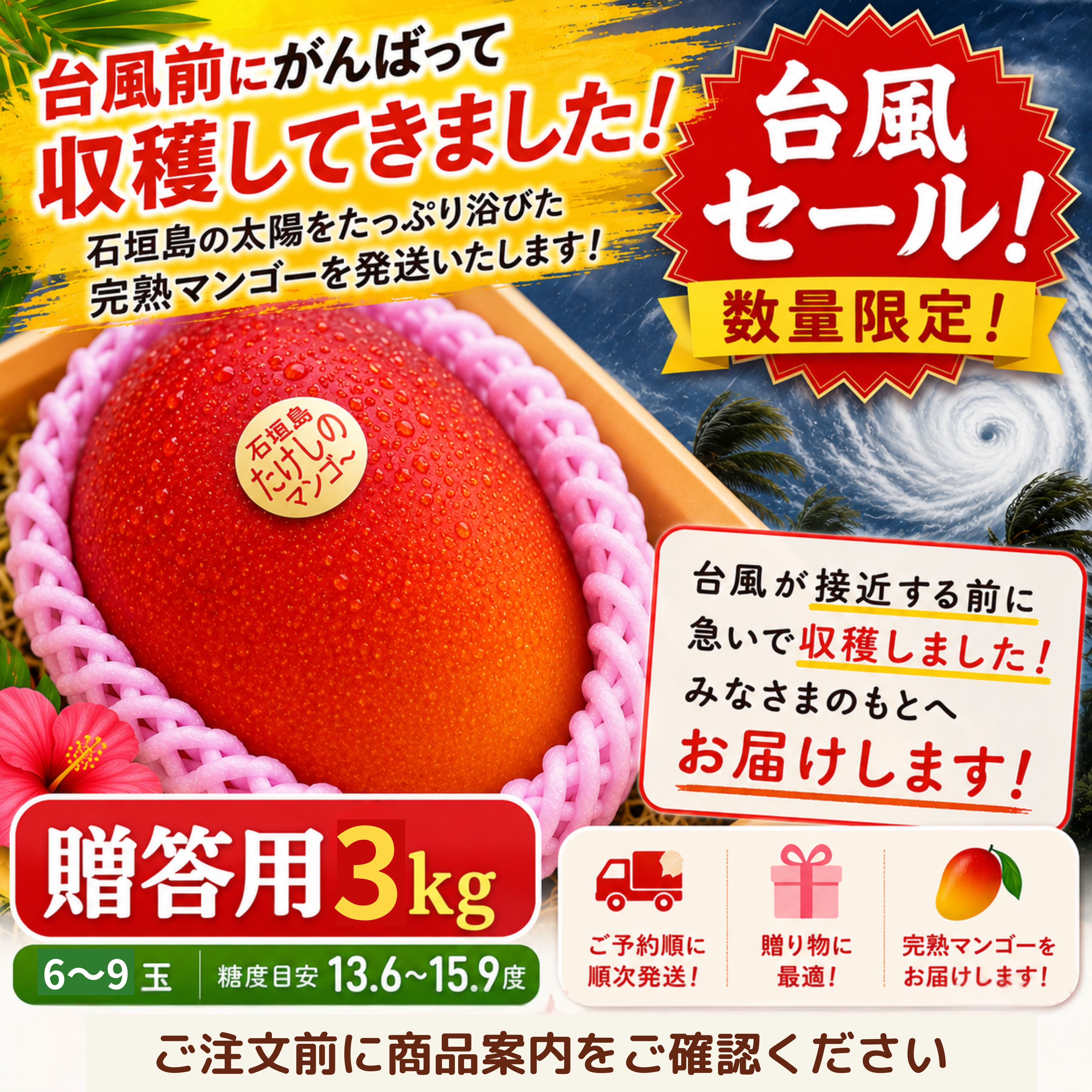 台風セール🥭＜贈答用＞3㎏（6〜9玉）石垣島たけしのマンゴー【冷蔵