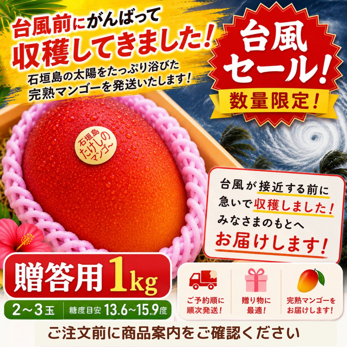 台風セール🥭＜贈答用＞1㎏（2〜3玉）石垣島たけしのマンゴー【冷蔵発送...