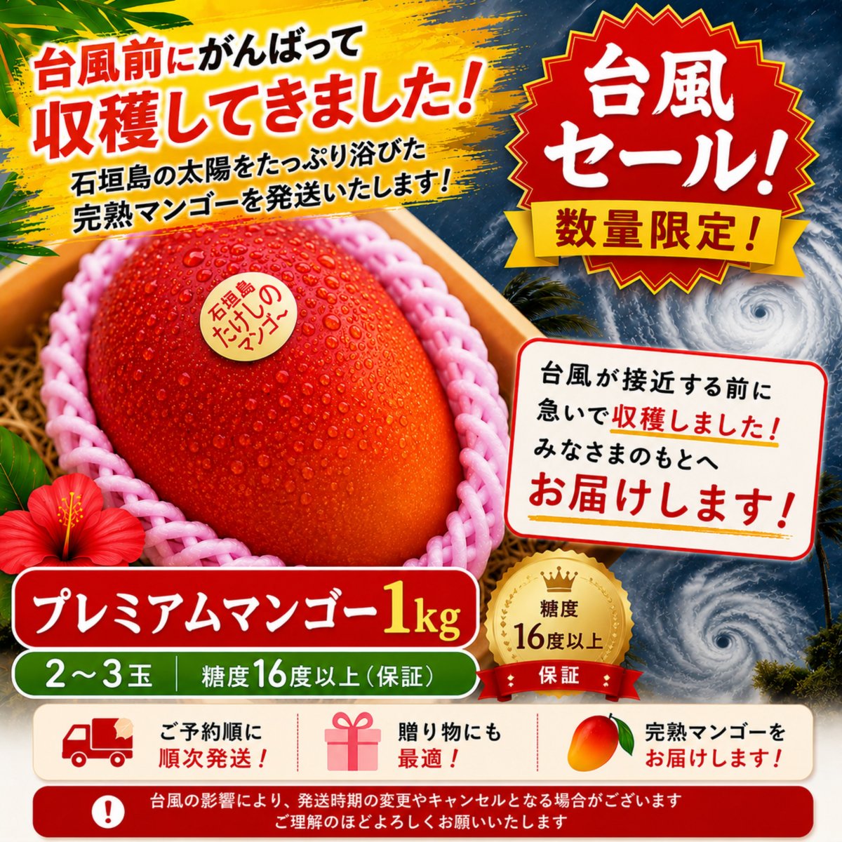 台風セール👑＜プレミアム＞1㎏（2〜3玉）石垣島たけしのマンゴー