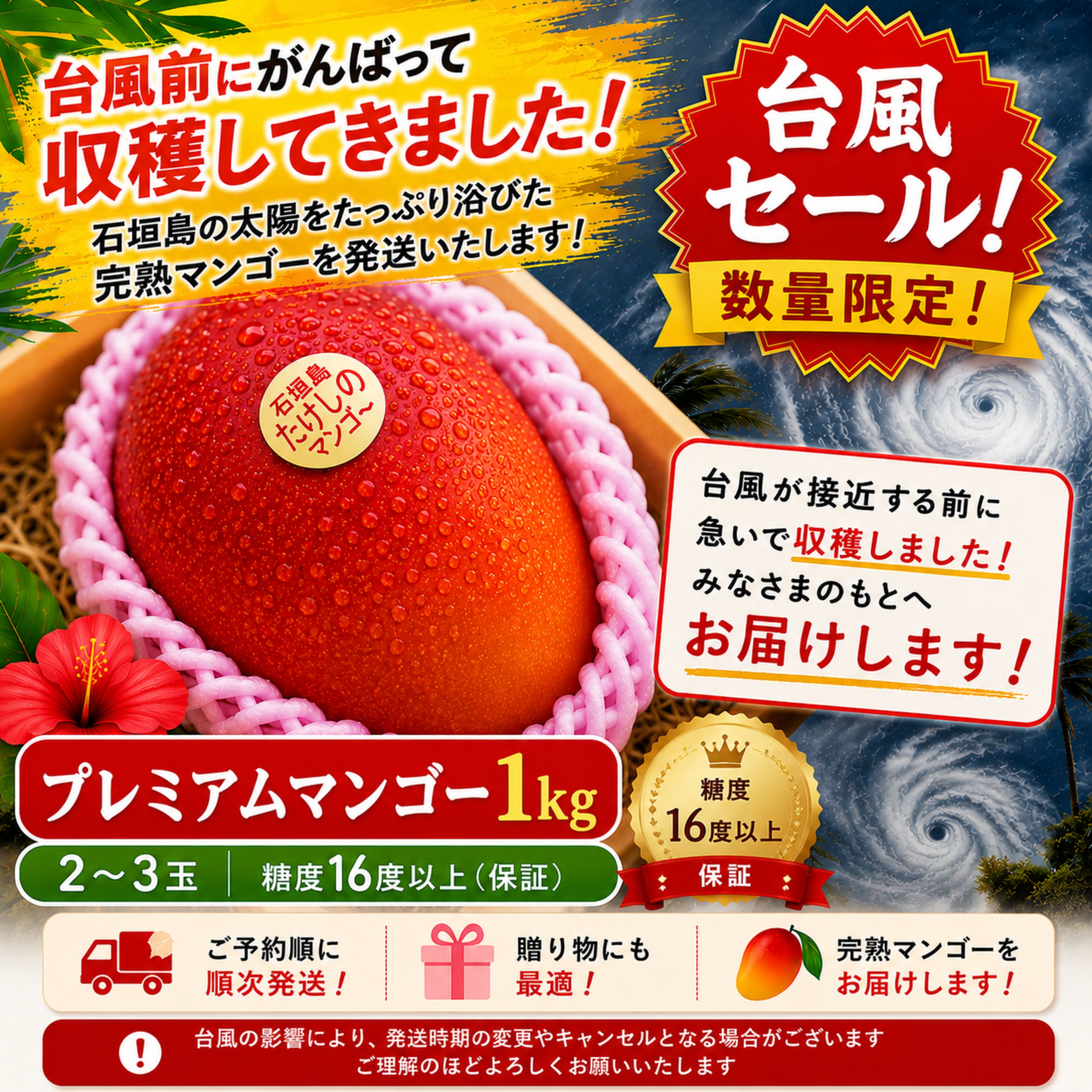 台風セール👑＜プレミアム＞1㎏（2〜3玉）石垣島たけしのマンゴー