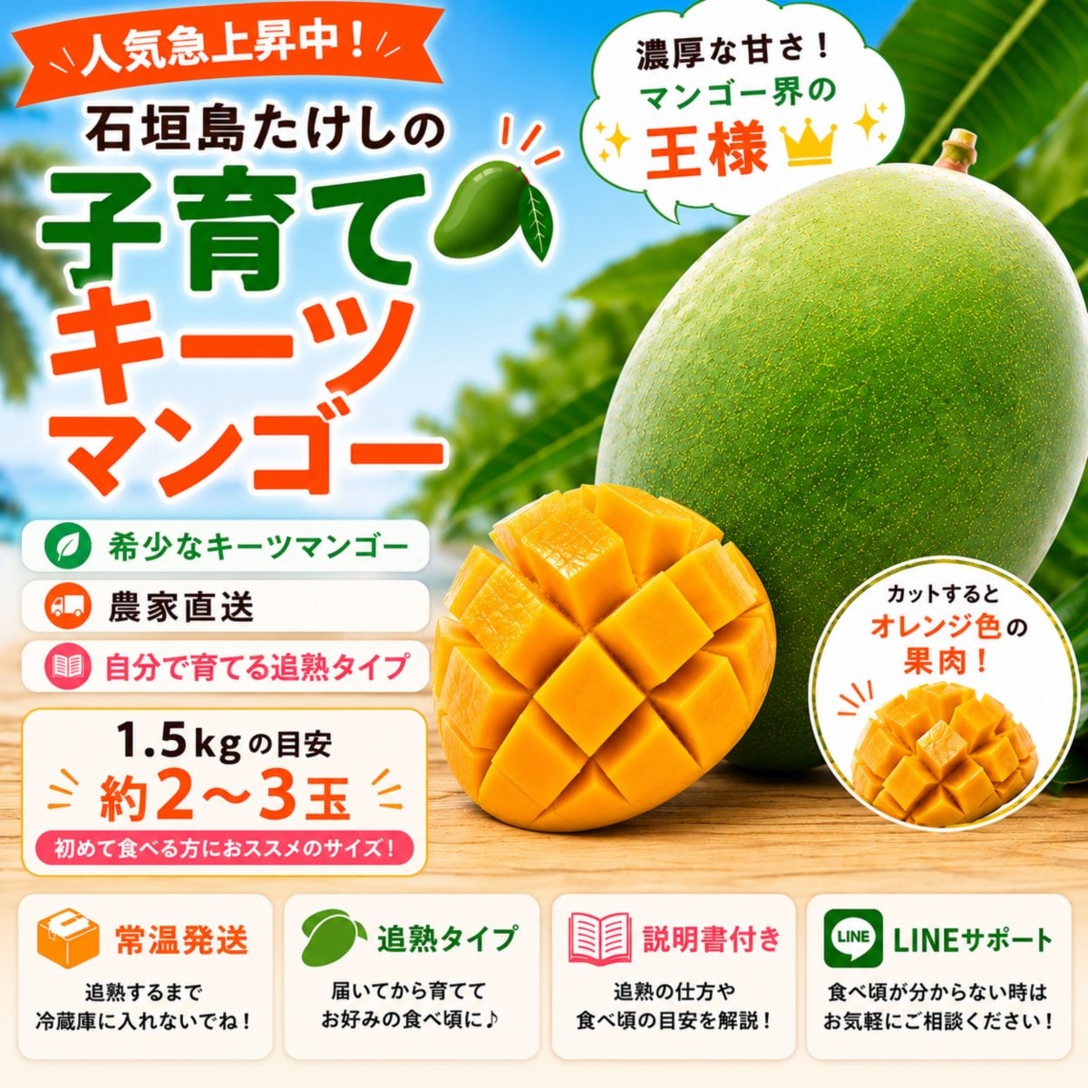 1.5㎏(2〜3玉)/石垣島たけしの子育てキーツマンゴー／※支払い方法は商品概要をよくご覧ください