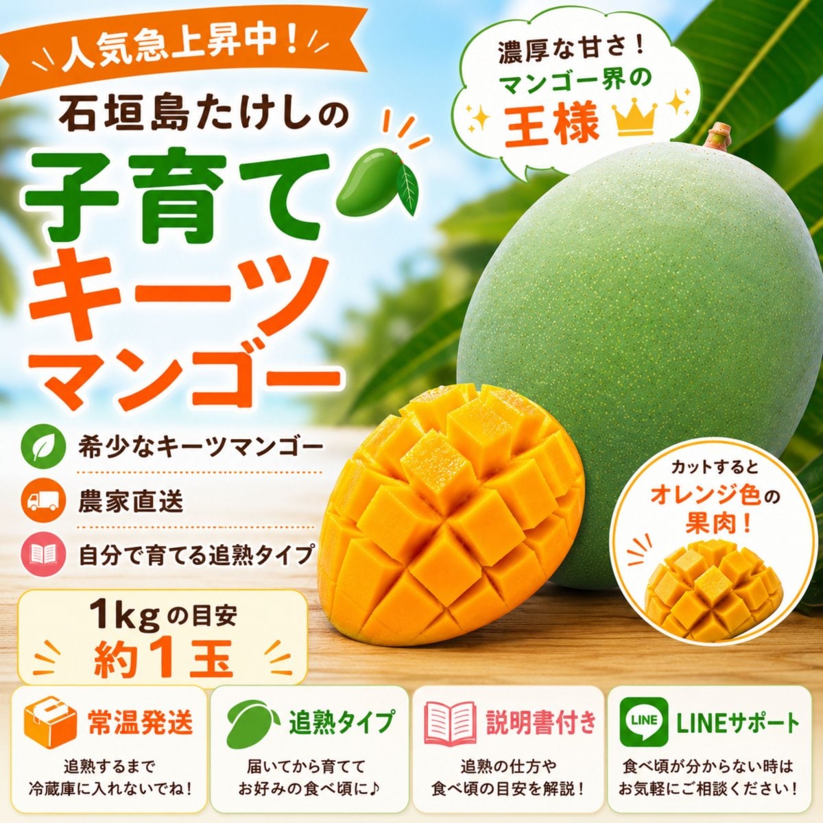 1㎏(1玉)/石垣島たけしの子育てキーツマンゴー(初心者不向き)※支払い方法は商品概要をよくご覧ください