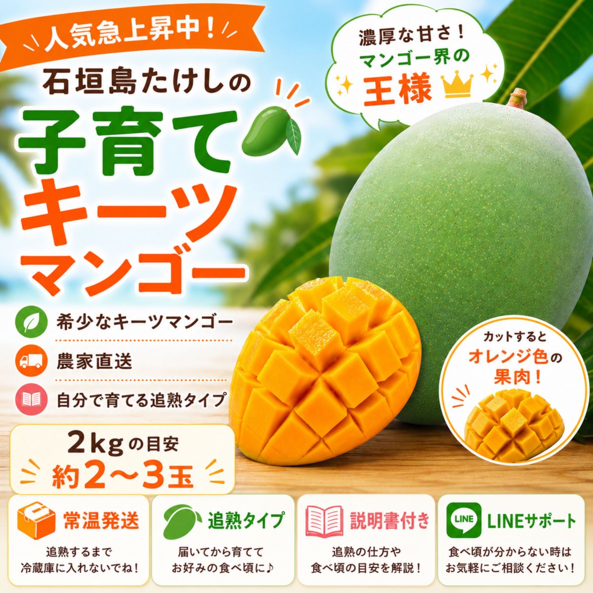 2㎏(2〜3玉) /石垣島たけしの子育てキーツマンゴー※支払い方法は商品概要をよくご覧ください