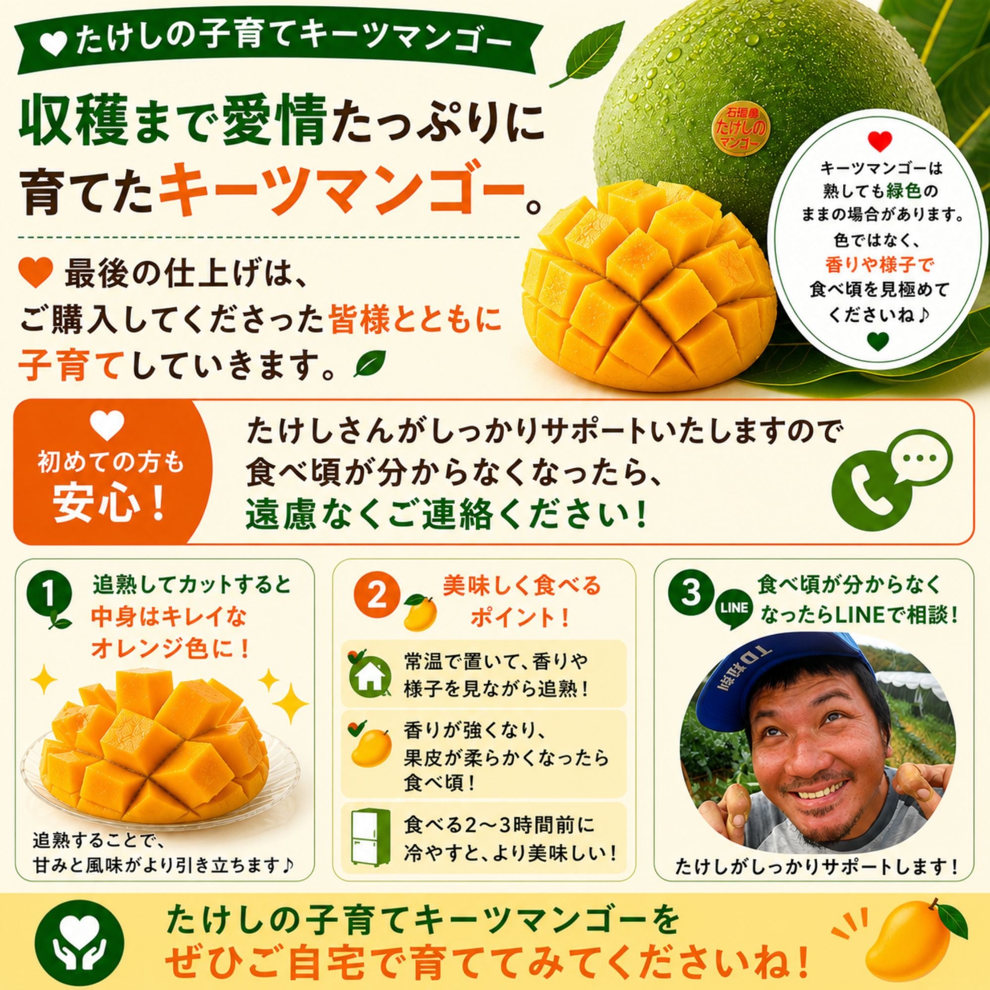 摘果キーツマンゴー11kg❣️ 頑張りキーツ！1㎏(1玉)/石垣島たけしの子育てキーツマンゴー／※支払い